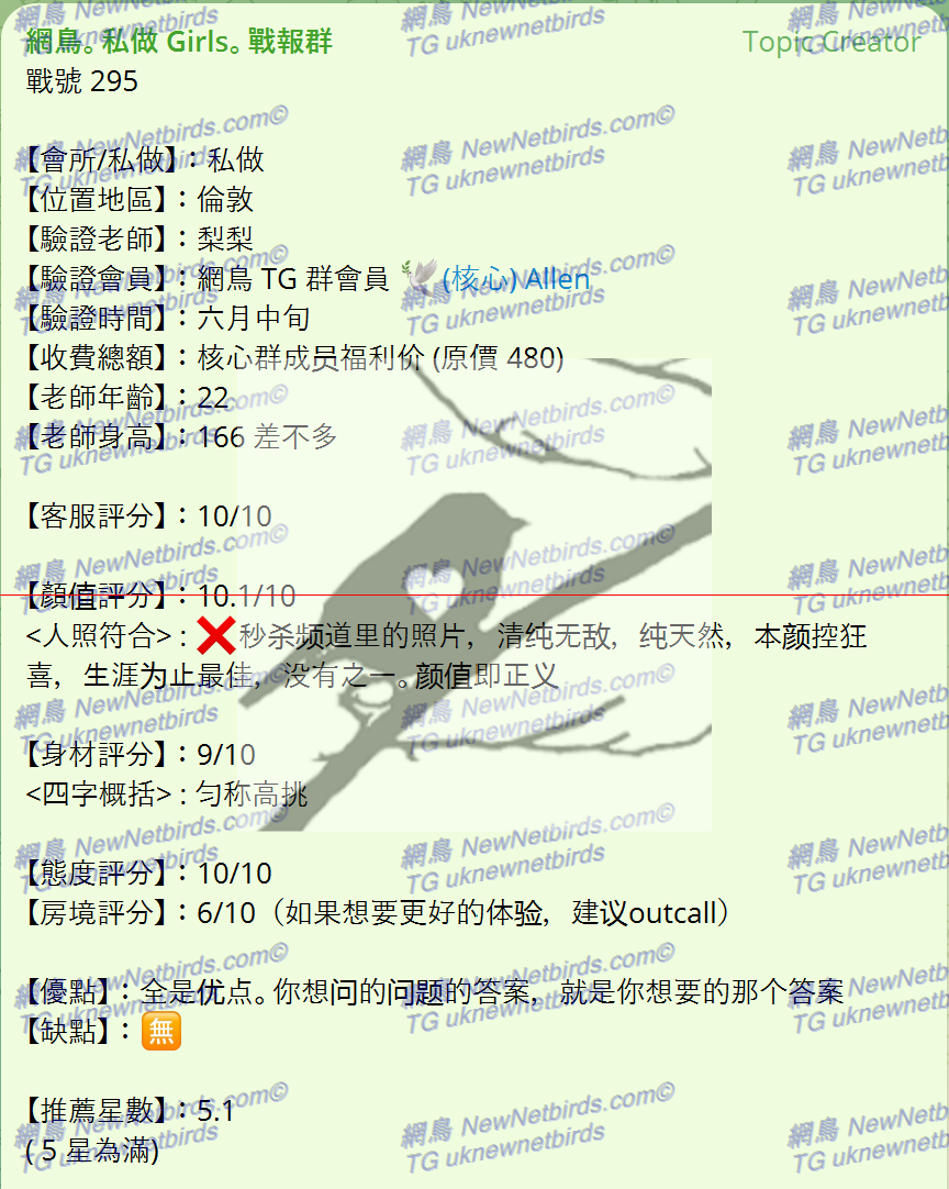 戰號 295 1.png